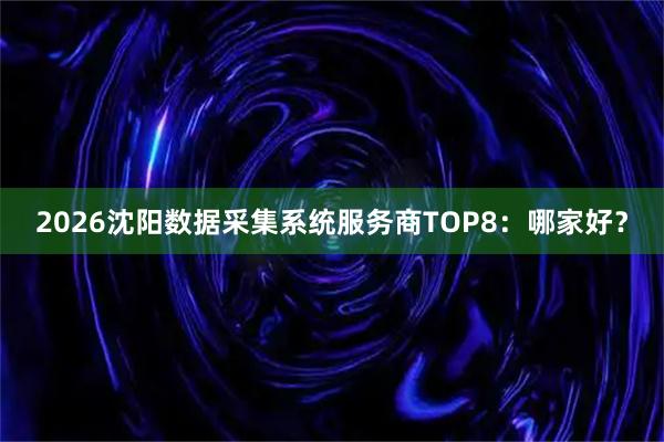 2026沈阳数据采集系统服务商TOP8：哪家好？