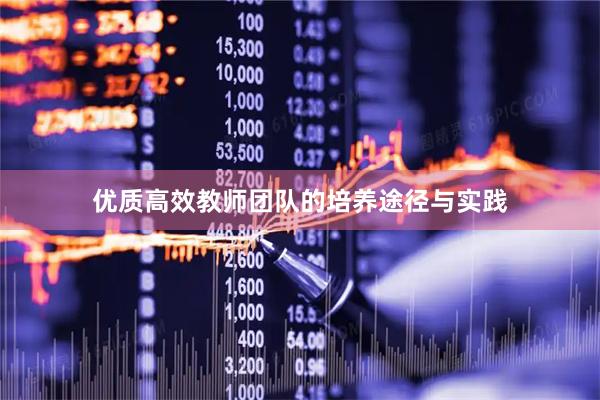 优质高效教师团队的培养途径与实践