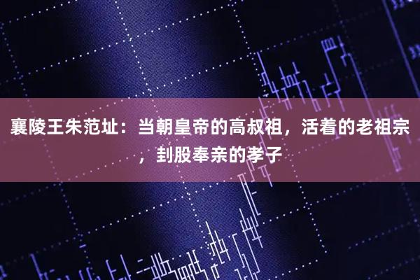 襄陵王朱范址：当朝皇帝的高叔祖，活着的老祖宗，刲股奉亲的孝子