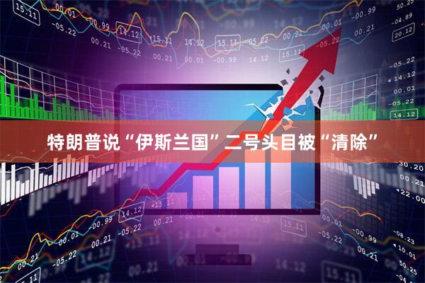 特朗普说“伊斯兰国”二号头目被“清除”